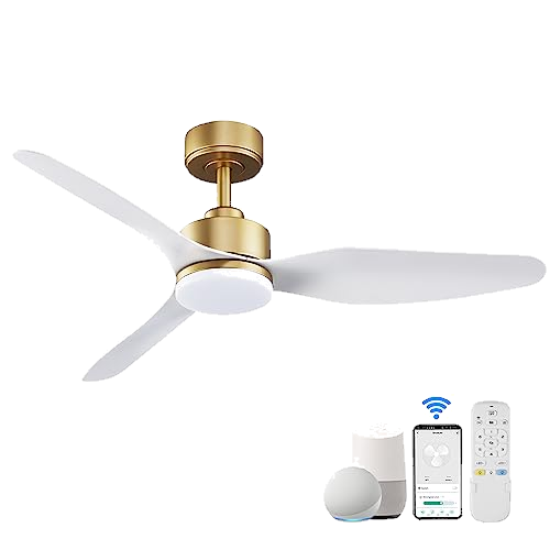 Hoenofly 48 Inch Smart Ceiling Fans with Lights and Remote Control